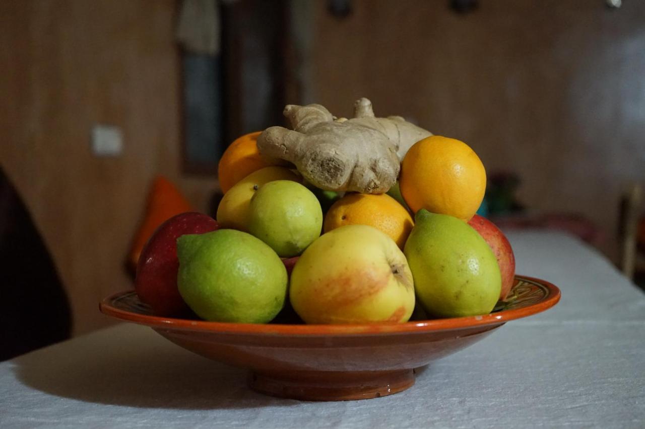 Nkob Berber Nomad Kasbah Bed & Breakfast エクステリア 写真