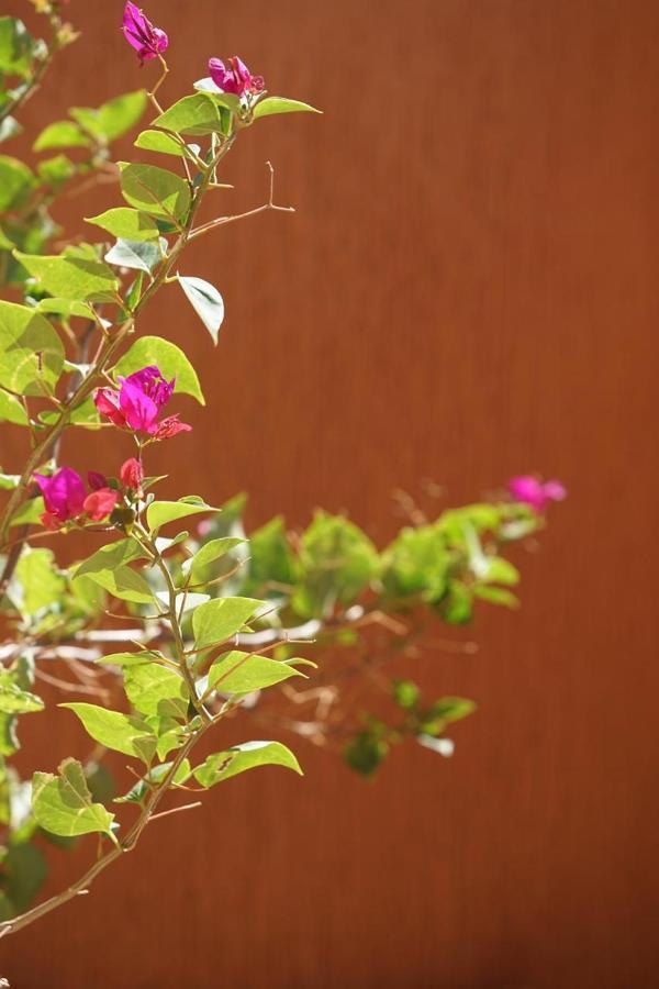 Nkob Berber Nomad Kasbah Bed & Breakfast エクステリア 写真